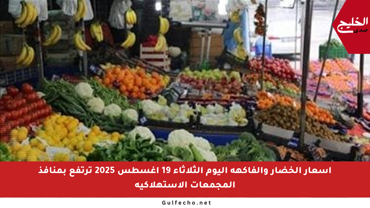 أسعار الخضار والفاكهة اليوم الثلاثاء 19 أغسطس 2025 ترتفع بمنافذ المجمعات الاستهلاكية